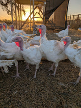 Pasture Raised Turkey for Thanksgiving Deposit